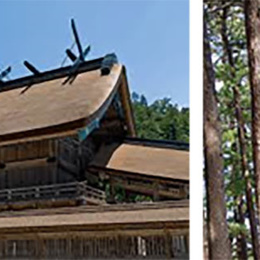島根県「神々の国しまねの木」県産材の魅力を探る