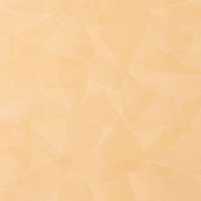 伝統のイタリアン漆喰 アンティコスタッコ「VENETIART ベネチアート」内装材