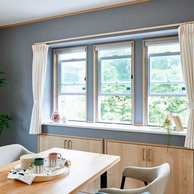 装飾窓用ロールアップ網戸「セロアIII ループレスタイプ」全6色 